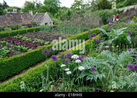 Vegetable garden plots in the landscaped English Gardens of Belcombe Court, Bradford-on-Avon, Wiltshire, UK Stock Photo