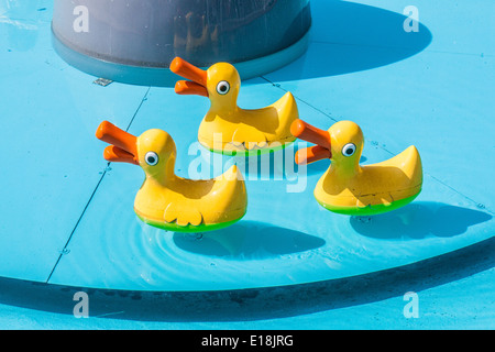 Model ducks at Paultons Park, Southampton, England, United Kingdom. Stock Photo