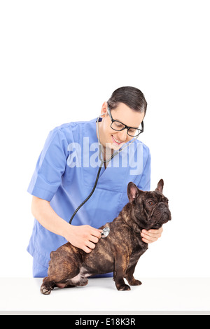 Male vet examining a dog with stethoscope Stock Photo