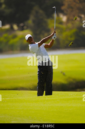 Sydney - November 11, 2011. Tiger Woods plays approach shot in the second round in the Australian Open at The Lakes golf course. Stock Photo