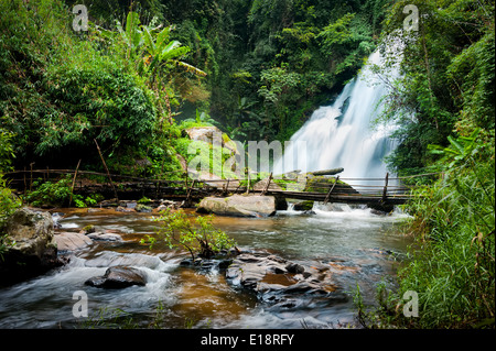 Tropical rain forest landscape jungle plants flowing water Pha Dok Xu waterfall and bamboo bridge Mae Klang Luang village Doi Stock Photo