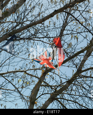Torn Union flag bunting caught in tree Stock Photo