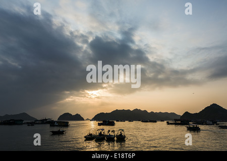 A group of fishing boats are anchored near the coast of the island of Cat Ba at the end of the day. Stock Photo