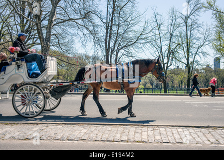 Tourists ride a horse carriage tour through New York's Central Park in the spring. Stock Photo