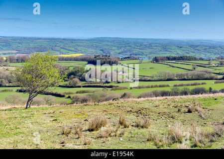 View from Black Down the highest hill in the Mendip Hills Somerset in south-west  England towards Blagdon Lake and Chew Valley Stock Photo