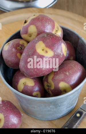 Pache hi-res stock photography and images - Alamy