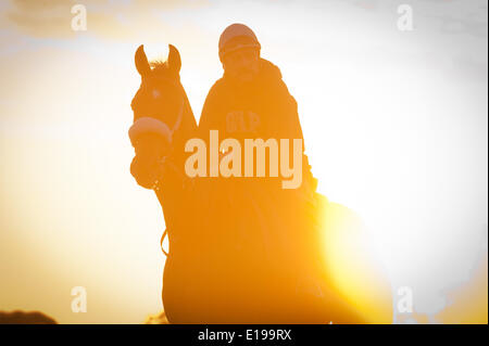 Elmont, New York, USA. 27th May, 2014. Sunrise with horses on the the main track at Belmont Park, Tuesday, May 27, 2014. Credit:  Bryan Smith/ZUMAPRESS.com/Alamy Live News Stock Photo