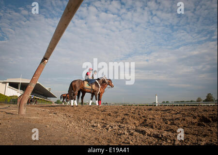 Elmont, New York, USA. 27th May, 2014. Belmont Stakes hopeful RIDE ON CURLIN with Bryan Baccia up on the main track at Belmont Park, Tuesday, May 27, 2014. Credit:  Bryan Smith/ZUMAPRESS.com/Alamy Live News Stock Photo