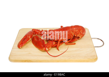 Whole cooked lobster on a wooden food preparation board isolated against white Stock Photo