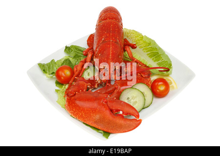 Whole cooked lobster with salad on a plate isolated against white Stock Photo