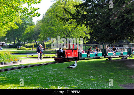 Buxton pavilion gardens miniature train Debyshire England UK Stock Photo