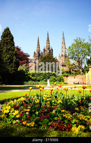 Cathedral seen from the Remembrance gardens with tulips in the foreground, Lichfield, Staffordshire, UK. Stock Photo