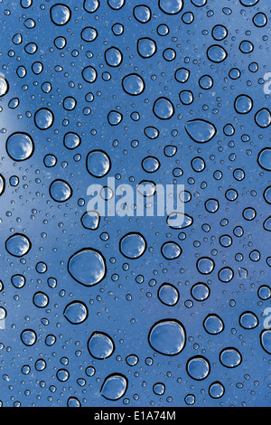 Beads of rain water droplets on Toyota 4Runner truck Stock Photo