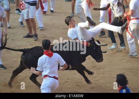Festival goers running from a bull in the Plaza de Toros of Pamplona during the Fiesta de San Fermin Stock Photo