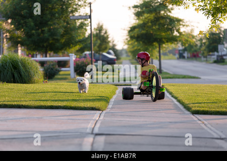 Young boy walking the dog with his tricycle on the nicely cut grasses in their neighborhood Stock Photo