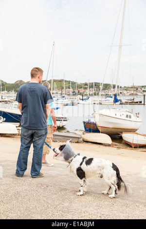 Young man looking at the sea view, with springer spaniel dog on a lead, wearing a cone, for scratch protection. Conway Quay. Stock Photo