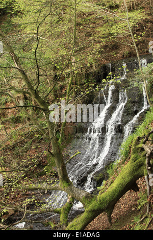 Cleddon falls Stock Photo