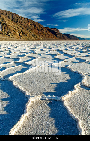 Polygonal salt pans and Black Range, Badwater Basin, Death Valley National Park, California USA