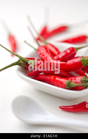 Red hot thai peppers agains a white canvas background. Stock Photo