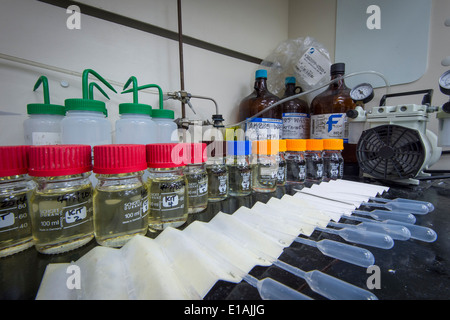 Laboratory Bench With Bottles & Jars Stock Photo