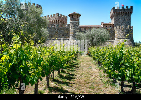 Low Angle View of a Tuscan Style Castle with rows of Grapevine; Castello Di Amorosa Winery, Calistoga, California Stock Photo