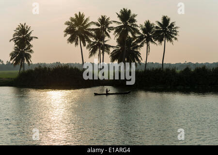 Typical landscape with palmtrees, a man passing in his boat, Kerala backwaters at dusk, Alappuzha, Kerala, India Stock Photo