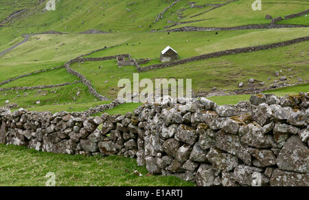 Old stone walls, fields, Hattarvík, Fugloy, Faroe Islands, Denmark Stock Photo