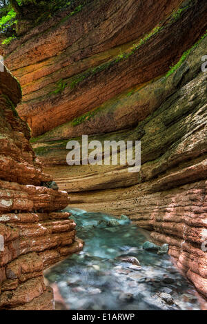 The Taugl river flowing through a gorge, Hallein District, Salzburg, Austria Stock Photo