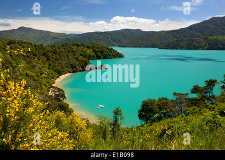 Governors Bay, Queen Charlotte Sound, near Picton, Marlborough region, South Island, New Zealand, South Pacific Stock Photo