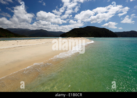 Awaroa beach, Abel Tasman National Park, Nelson region, South Island ...