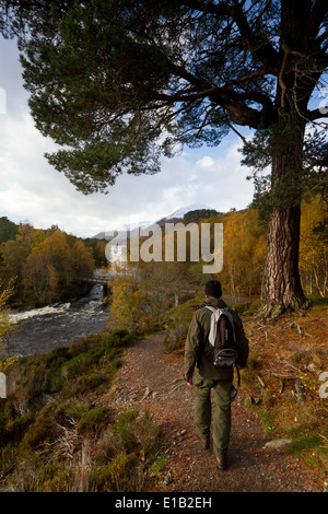 Walking in Glen Affric, Highland Scotland Stock Photo