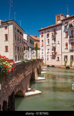 A flower bedecked bridge across of river in the Italian town of Treviso in Northern Italy Stock Photo