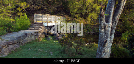 Footbridge ove the outflow of the River Glaslyn at Llyn Dinas a lake in the Nantgwynant Valley Snowdonia National Park Gwynedd N Stock Photo