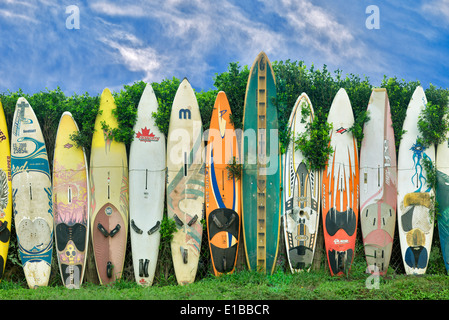 surfboard-fence-in-maui-hawaii