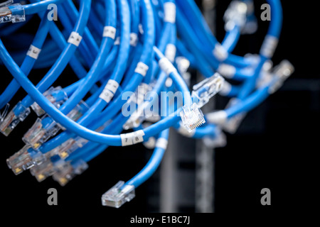 Large group of disconnected blue Internet cables Stock Photo