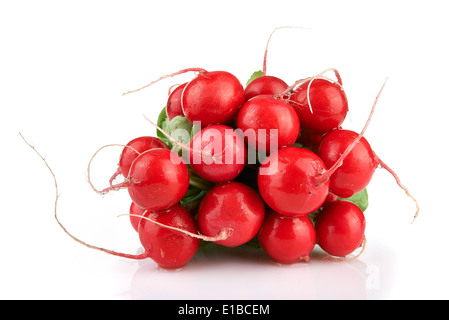 Small garden radish isolated on white background Stock Photo