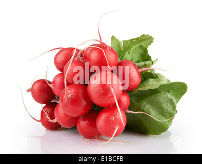 Small garden radish isolated on white background Stock Photo