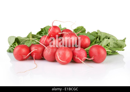 Small garden radish isolated on white background Stock Photo