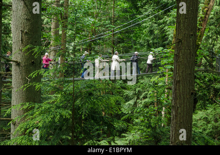 People on the Greenheart Canopy Walkway, UBC Botanical Garden, Vancouver, British Columbia, Canada Stock Photo