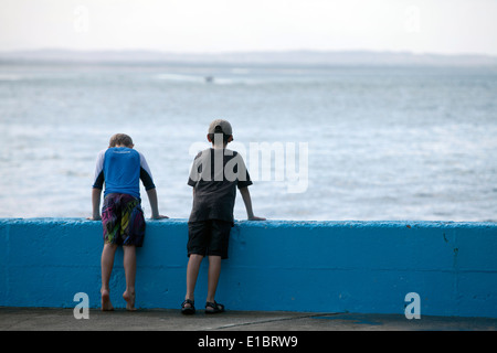 Country lifestyle, Forster. Mid North Coast, NSW, Australia Stock Photo