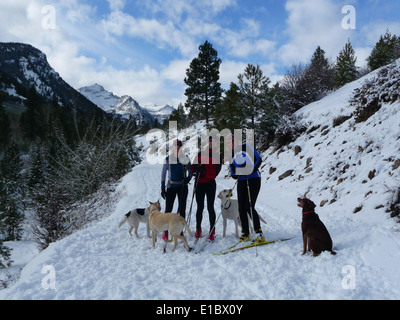 Lake Como ski trails Stock Photo