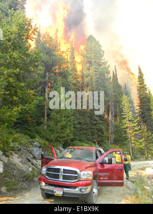 The 2011 41 Complex Fire in the Bitterroot National Forest was a large ...