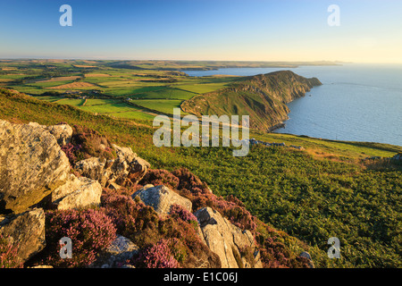 Penbwchdy Strumble Head Fishguard Pembrokeshire Wales in evening light Stock Photo