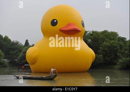 Hangzhou, China. 30th May, 2014. A giant inflatable Rubber Duck designed by Dutch conceptual artist Florentijn Hofman is on display at the Xixi National Wetland Park on May 29, 2014 in Hangzhou, Zhejiang Province of China. Dutch conceptual artist Florentijin Hofman's inflatable Rubber Duck starts a new tours in China again. It will be exhibited in nine mainland cities in China, starting from June 1 in Hangzhou for a month and will takes off to Qingdao then. Credit:  dpa picture alliance/Alamy Live News Stock Photo