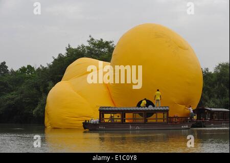 Hangzhou, China. 30th May, 2014. A giant inflatable Rubber Duck designed by Dutch conceptual artist Florentijn Hofman is on display at the Xixi National Wetland Park on May 29, 2014 in Hangzhou, Zhejiang Province of China. Dutch conceptual artist Florentijin Hofman's inflatable Rubber Duck starts a new tours in China again. It will be exhibited in nine mainland cities in China, starting from June 1 in Hangzhou for a month and will takes off to Qingdao then. Credit:  dpa picture alliance/Alamy Live News Stock Photo