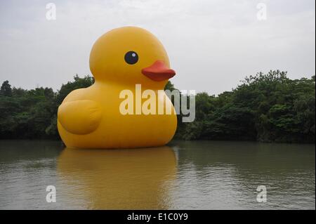 Hangzhou, China. 30th May, 2014. A giant inflatable Rubber Duck designed by Dutch conceptual artist Florentijn Hofman is on display at the Xixi National Wetland Park on May 29, 2014 in Hangzhou, Zhejiang Province of China. Dutch conceptual artist Florentijin Hofman's inflatable Rubber Duck starts a new tours in China again. It will be exhibited in nine mainland cities in China, starting from June 1 in Hangzhou for a month and will takes off to Qingdao then. Credit:  dpa picture alliance/Alamy Live News Stock Photo