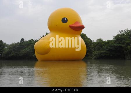 Hangzhou, China. 30th May, 2014. A giant inflatable Rubber Duck designed by Dutch conceptual artist Florentijn Hofman is on display at the Xixi National Wetland Park on May 29, 2014 in Hangzhou, Zhejiang Province of China. Dutch conceptual artist Florentijin Hofman's inflatable Rubber Duck starts a new tours in China again. It will be exhibited in nine mainland cities in China, starting from June 1 in Hangzhou for a month and will takes off to Qingdao then. Credit:  dpa picture alliance/Alamy Live News Stock Photo