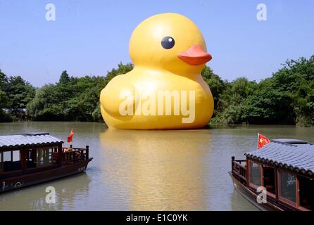 Hangzhou, China. 30th May, 2014. A giant inflatable Rubber Duck designed by Dutch conceptual artist Florentijn Hofman is on display at the Xixi National Wetland Park on May 29, 2014 in Hangzhou, Zhejiang Province of China. Dutch conceptual artist Florentijin Hofman's inflatable Rubber Duck starts a new tours in China again. It will be exhibited in nine mainland cities in China, starting from June 1 in Hangzhou for a month and will takes off to Qingdao then. Credit:  dpa picture alliance/Alamy Live News Stock Photo