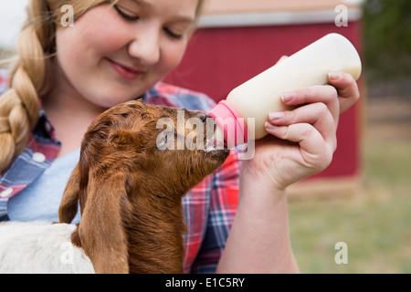A girl bottle-feeding a baby goat. Stock Photo