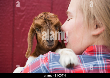A girl cuddling a baby goat. Stock Photo